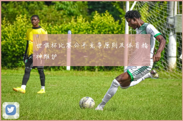 世俱杯比赛公平竞争原则及体育精神维护
