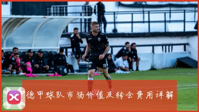 德甲球队市场价值及转会费用详解