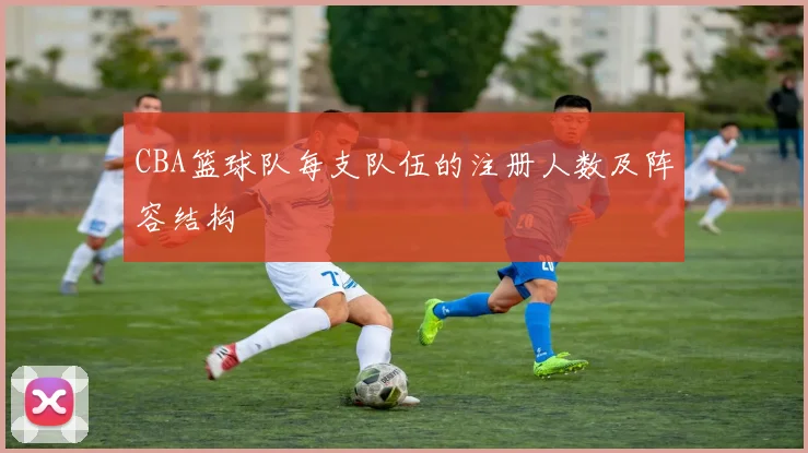 CBA篮球队每支队伍的注册人数及阵容结构