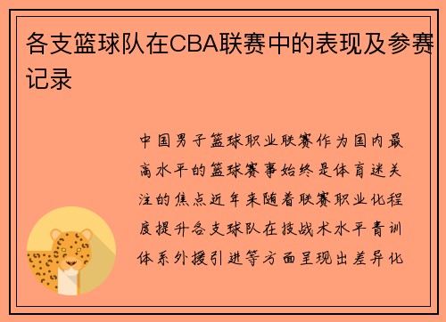 各支篮球队在CBA联赛中的表现及参赛记录